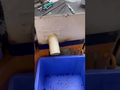 5 층 셔츠 버튼 18L 셔츠 의류 액세서리 사용